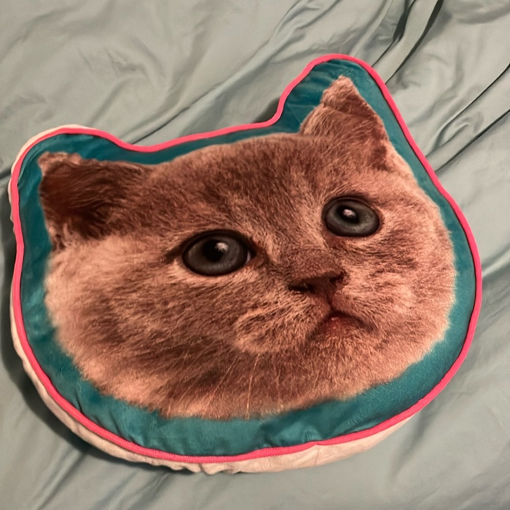Kitten Print Pillow